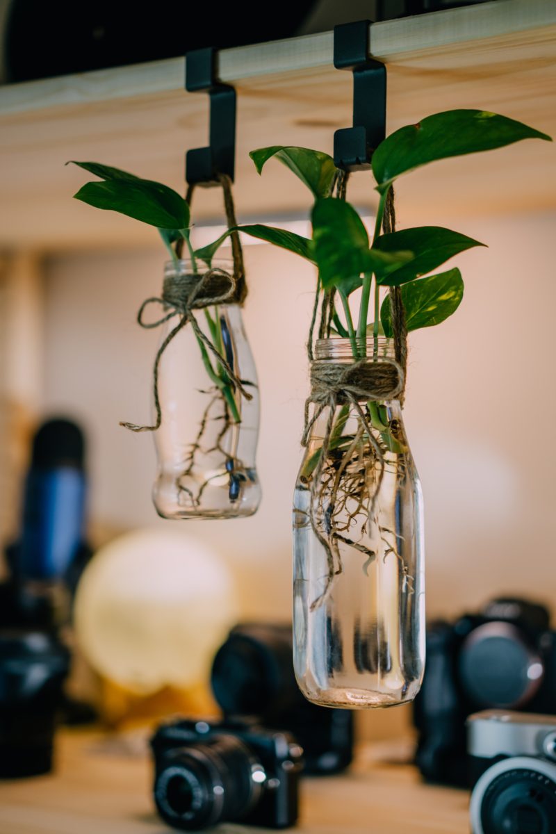 16 Practical Ways to Reuse Glass Jars - Mindful of the Home