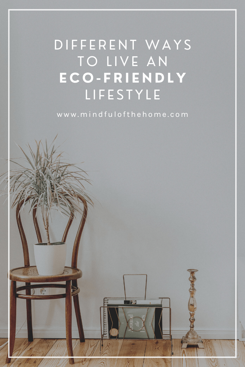 Different Types of Eco-Lifestyles that are Saving the Planet » Mindful ...