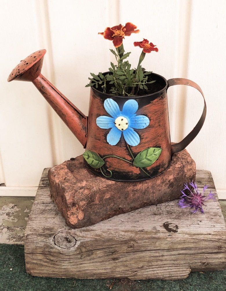https://mindfulofthehome.com/wp-content/uploads/2021/05/marigolds-in-decorative-upcycled-garden-watering-jug-planter-780x1003.jpg