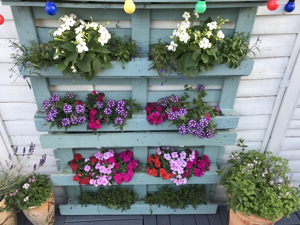 Repurposing pallets into stylish indoor planters